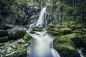 Preview: Wandbild "Wald Wasserfall"